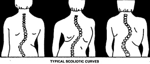 spine  pictures